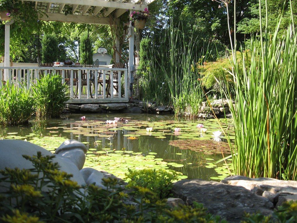 Carrousel Bed & Breakfast Cayuga Exterior foto