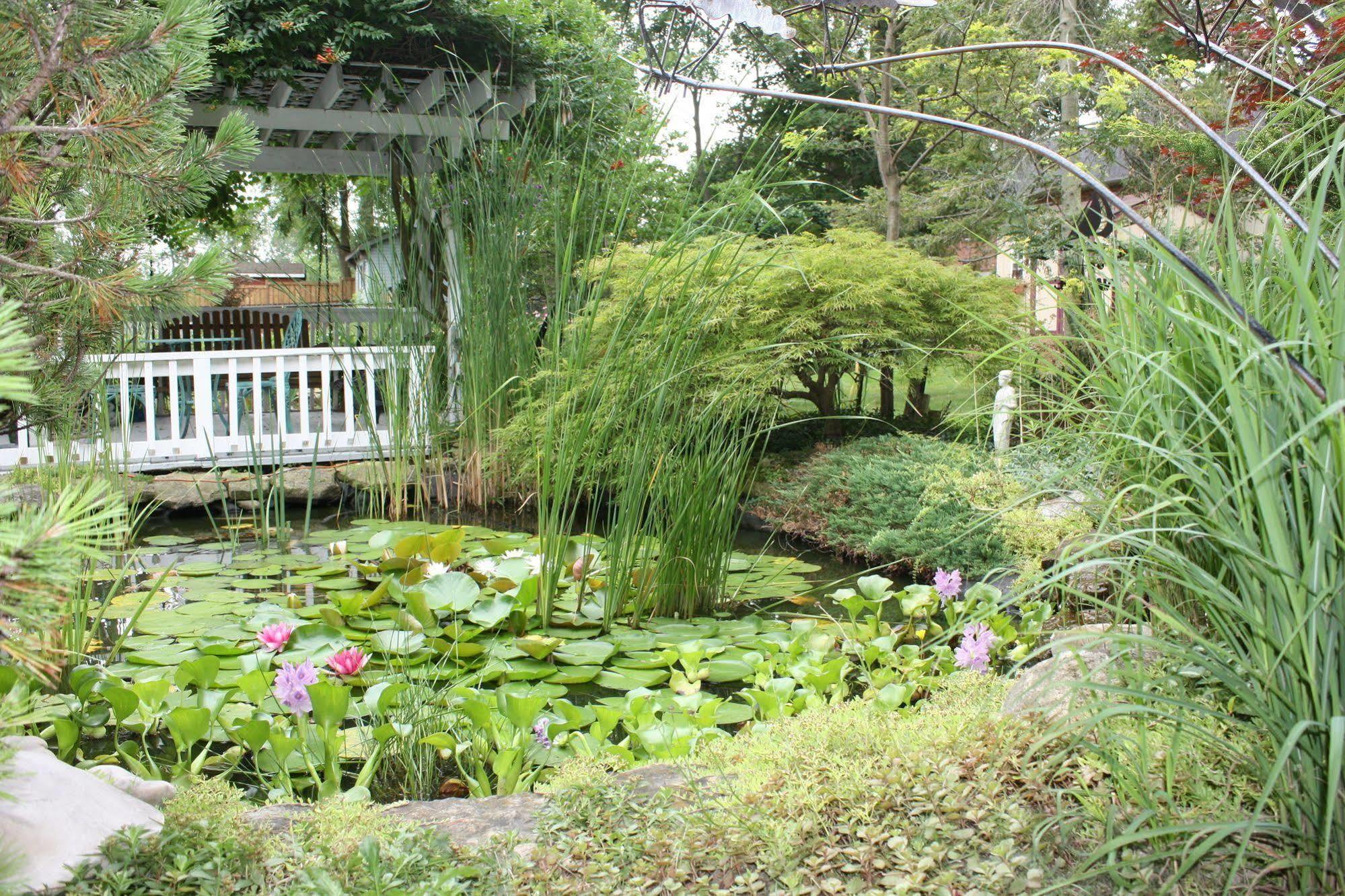 Carrousel Bed & Breakfast Cayuga Exterior foto